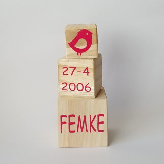 Geboorte blokkentoren